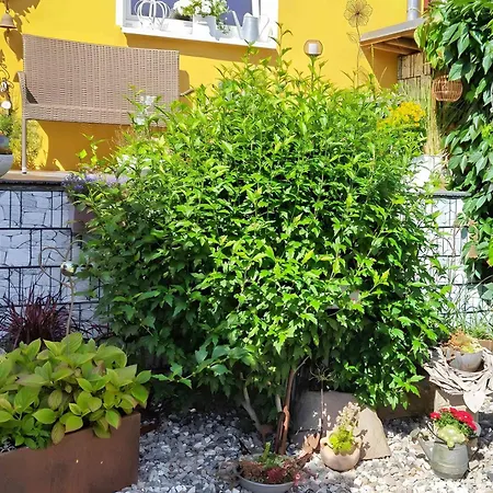 Apartment Lassan, Zum Peenestrom *